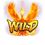 สัญลักษณ์ Wild
