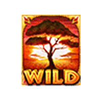 สัญลักษณ์ Wild