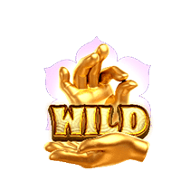 สัญลักษณ์ Wild Journey To The Wealth