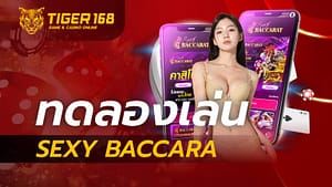 ทดลอง เล่น sexy baccarat