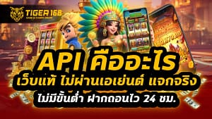 api คืออะไร