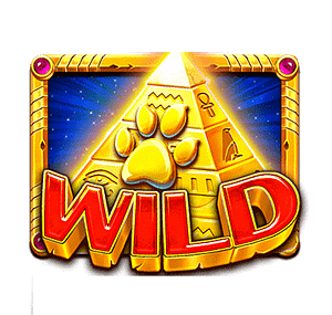 สัญลักษณ์ Wild