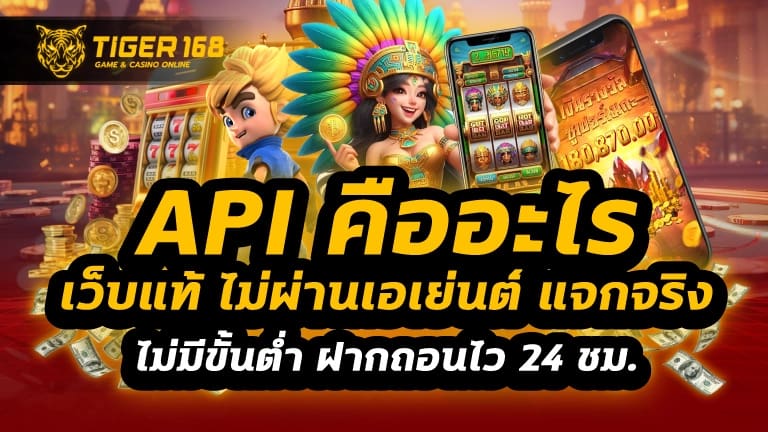 api คืออะไร