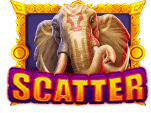 สัญลักษณ์พิเศษของเกม Wild Wet Win 2