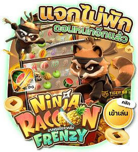 TG168-แจกไม่พัก ถอนหนักอีกแล้ว ninja raccoon